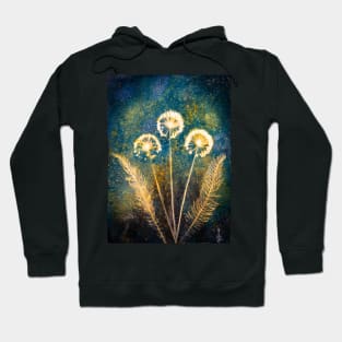 Botanical cyanotype 6 Hoodie